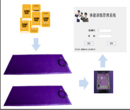 體能訓練拓展系統(tǒng)